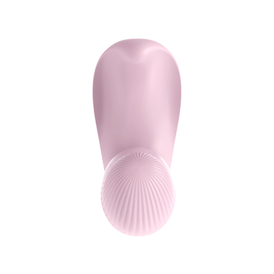 Điều khiển từ xa nữ thủ dâm Vibrator đồ chơi quần lót Vibrator cho phụ nữ