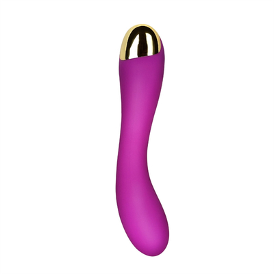 10 tốc độ Dildo Vibrator USB G Spot Vibrator Massage cho phụ nữ