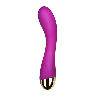 10 tốc độ Dildo Vibrator USB G Spot Vibrator Massage cho phụ nữ