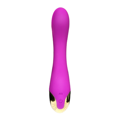 10 tốc độ Dildo Vibrator USB G Spot Vibrator Massage cho phụ nữ