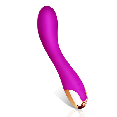 10 tốc độ Dildo Vibrator USB G Spot Vibrator Massage cho phụ nữ