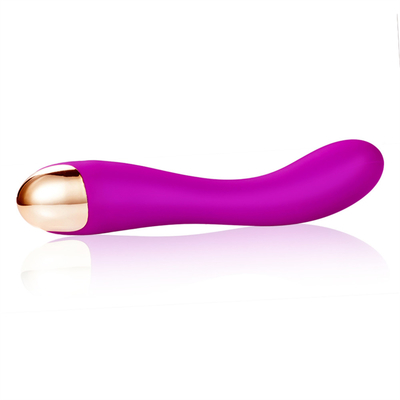10 tốc độ Dildo Vibrator USB G Spot Vibrator Massage cho phụ nữ