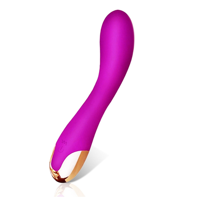 10 tốc độ Dildo Vibrator USB G Spot Vibrator Massage cho phụ nữ