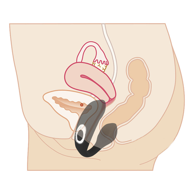 Không thấm nước Rechargeable G Spot Vibrator Anal Clitoris Vibrator For Female FOB Giá tham khảo:Get latest price