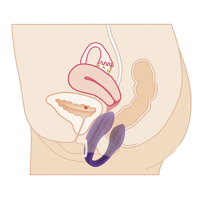 Không thấm nước Rechargeable G Spot Vibrator Anal Clitoris Vibrator For Female FOB Giá tham khảo:Get latest price