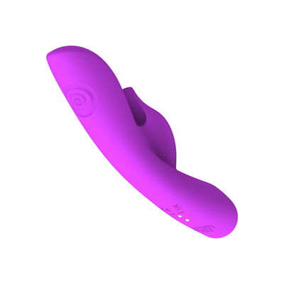 Hot Secret Recharger Vibrators với chức năng bấm hai bên Vegina G Spot Rabbit Vibrator Adult Sex Toy cho phụ nữ