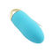 100% Silicone Bullet Egg Vibrator Máy rung trứng rung Bluetooth không thấm nước